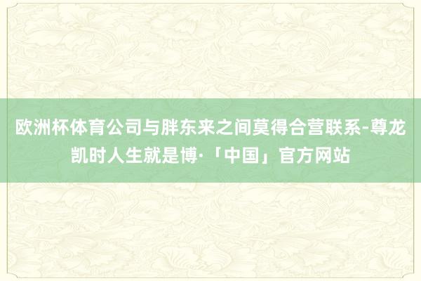 欧洲杯体育公司与胖东来之间莫得合营联系-尊龙凯时人生就是博·「中国」官方网站